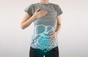 equilibrio flora intestinale probiotici